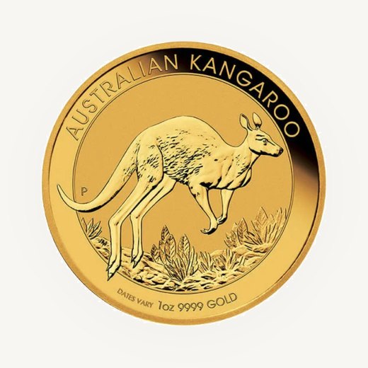 Australian Gold Kangaroo